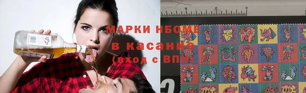 PSILOCYBIN Алзамай