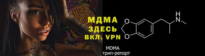 PSILOCYBIN Алзамай