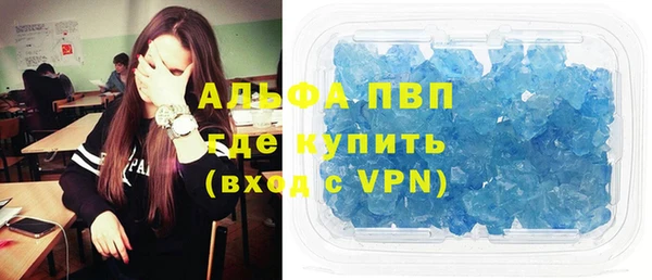 соль ск Новодвинск
