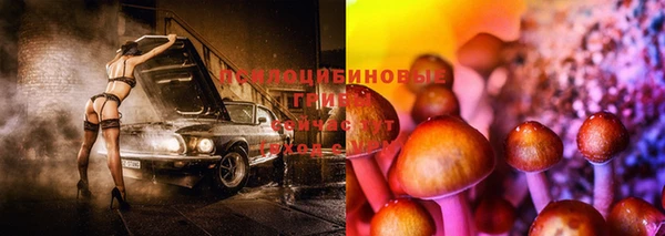 соль ск Новодвинск