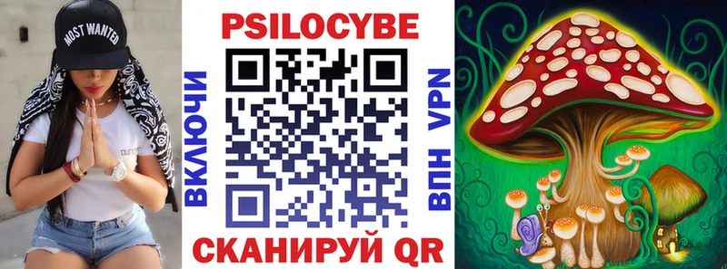 Псилоцибиновые грибы Magic Shrooms  купить  цена  сайты даркнета Telegram  Самара 