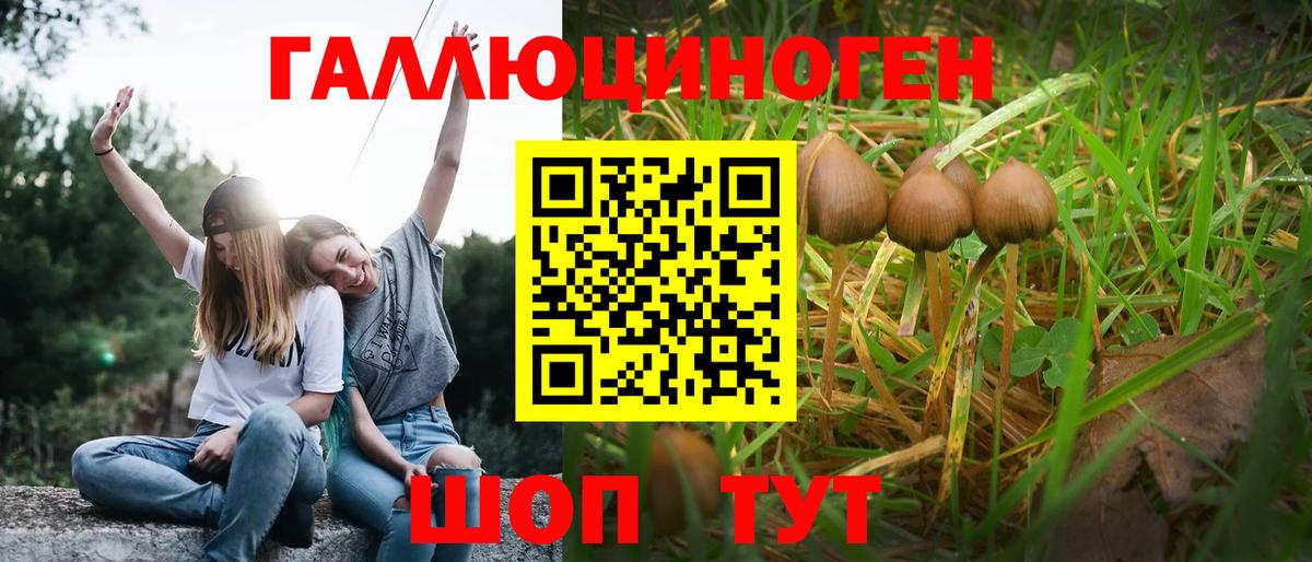 Псилоцибиновые грибы MAGIC MUSHROOMS  Вход с VPN  Самара 