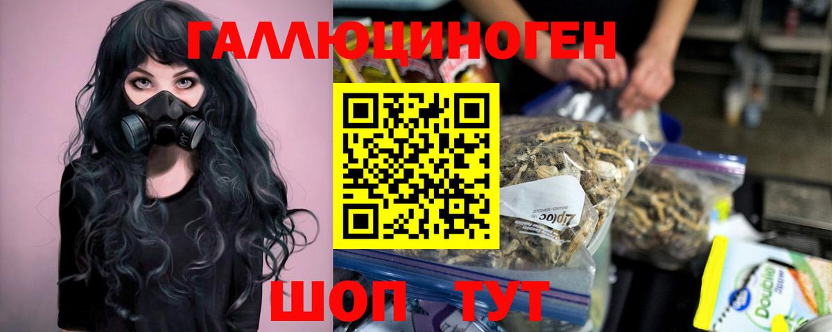 Галлюциногенные грибы Cubensis Самара